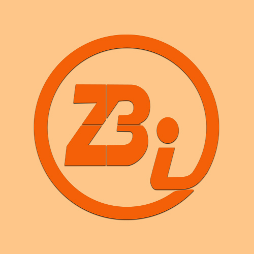 Groupe Z. BI - Conseils en management Ubuntu, Stratégies à impact social & Ecosystèmes d'intelligence communautaire